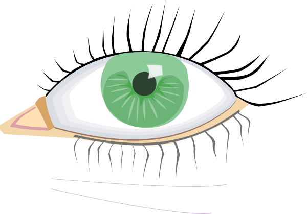 green eyes clipart. Eye clip art