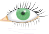 Eye Clip Art