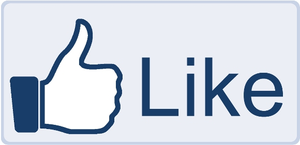 1328807872794247151facebook-like-button-big-md.png