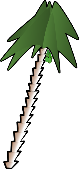 Leaning Palm Tree