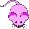 Pink Mouse Clip Art