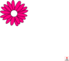 Pink Daisy Clip Art