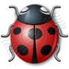 Bug Red 4 Image
