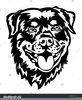 Lion Face Clipart Black And White Image