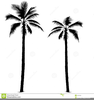 Palm Springs Clipart Image