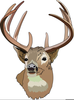 Free Clipart Buck Image