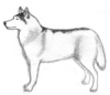 Free Clipart Dog Training Image