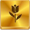 Free Gold Button Tulip Image