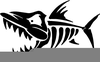 Bone Fish Clipart Image