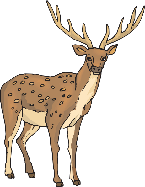 free clip art deer antlers - photo #22