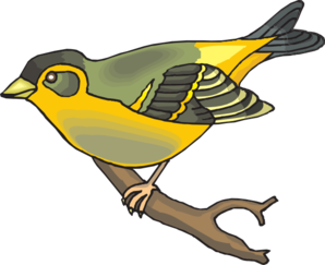 Goldfinch Clip Art