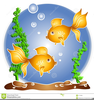 Fish Tanks Clipart Image