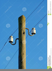 Free Telegraph Pole Clipart Image