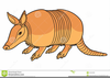 Cartoon Armadillo Clipart Image