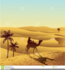 Camels Desert Clipart Image
