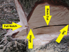 Fell Tree Notch Image