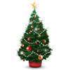 Christmas Tree Image