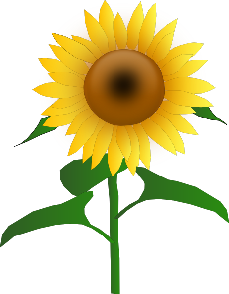 free clip art sunflower. Sunflower Jh