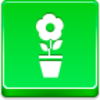 Pot Flower Icon Image