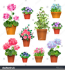 Pot Of Flowers Clipart Image