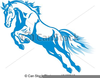 Year Of The Horse Clipart Image