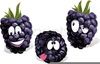 Blackberry Clipart Free Image