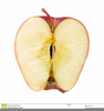 Apple Cut In Half Clipart Image