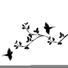 Free Cliparts Birds Image