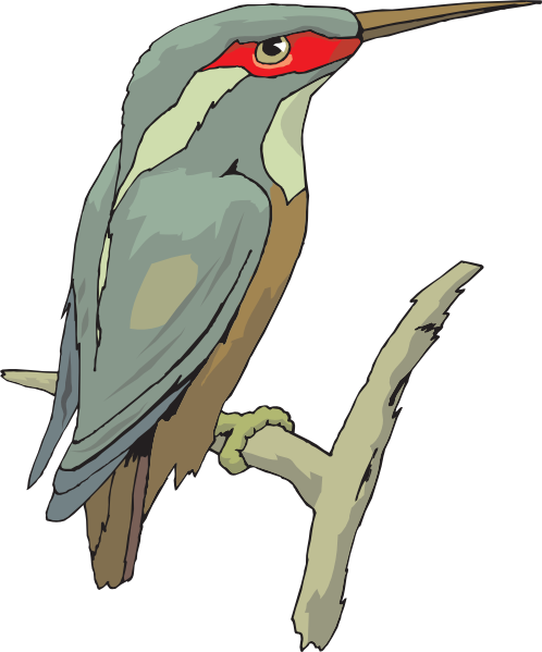clipart kingfisher bird - photo #20
