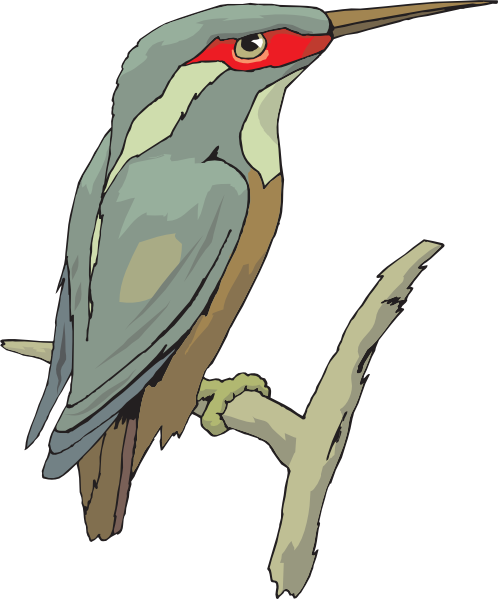 kingfisher clipart - photo #10