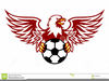 Eagle Playing Soccer Clipart Image