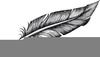 Clipart Feather Image