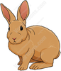 Cottontail Rabbit Clipart Image