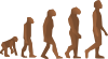 Evolution Steps Clip Art