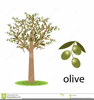 Olive Oil Clipart Free Image