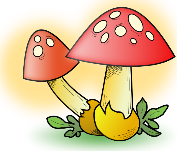 png clipart mushroom - photo #47