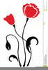 Clipart Flower Poppy Image