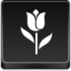 Tulip Icon Image