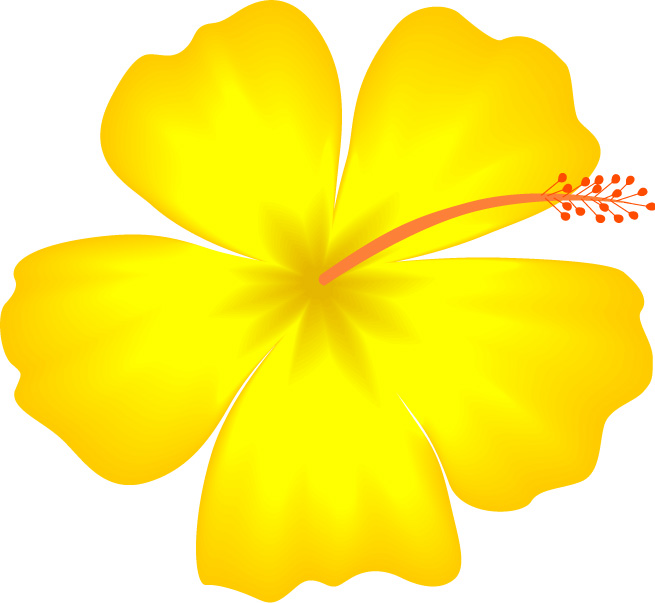 free clip art hawaiian flowers - photo #34