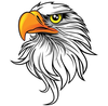 Eagle Mascot Drawing Image