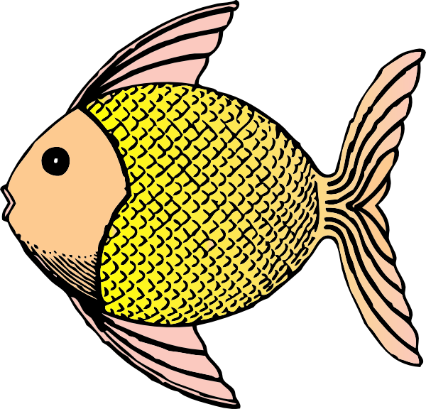 free clipart pictures of fish - photo #22