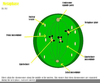 Telophase Labeled Image