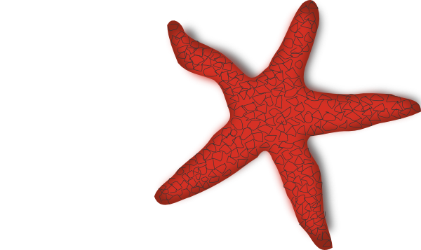 Clip Art Starfish. Addon Red Starfish clip art