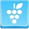 Grapes Icon Image