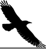 Bird Of Prey Clipart Image