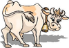 Cow Image