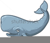 Whale Clipart Image