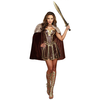 Female Gladiator Costume Image