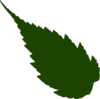 Pointed Leaf Clip Art