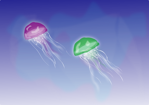 clipart pictures of jellyfish - photo #50